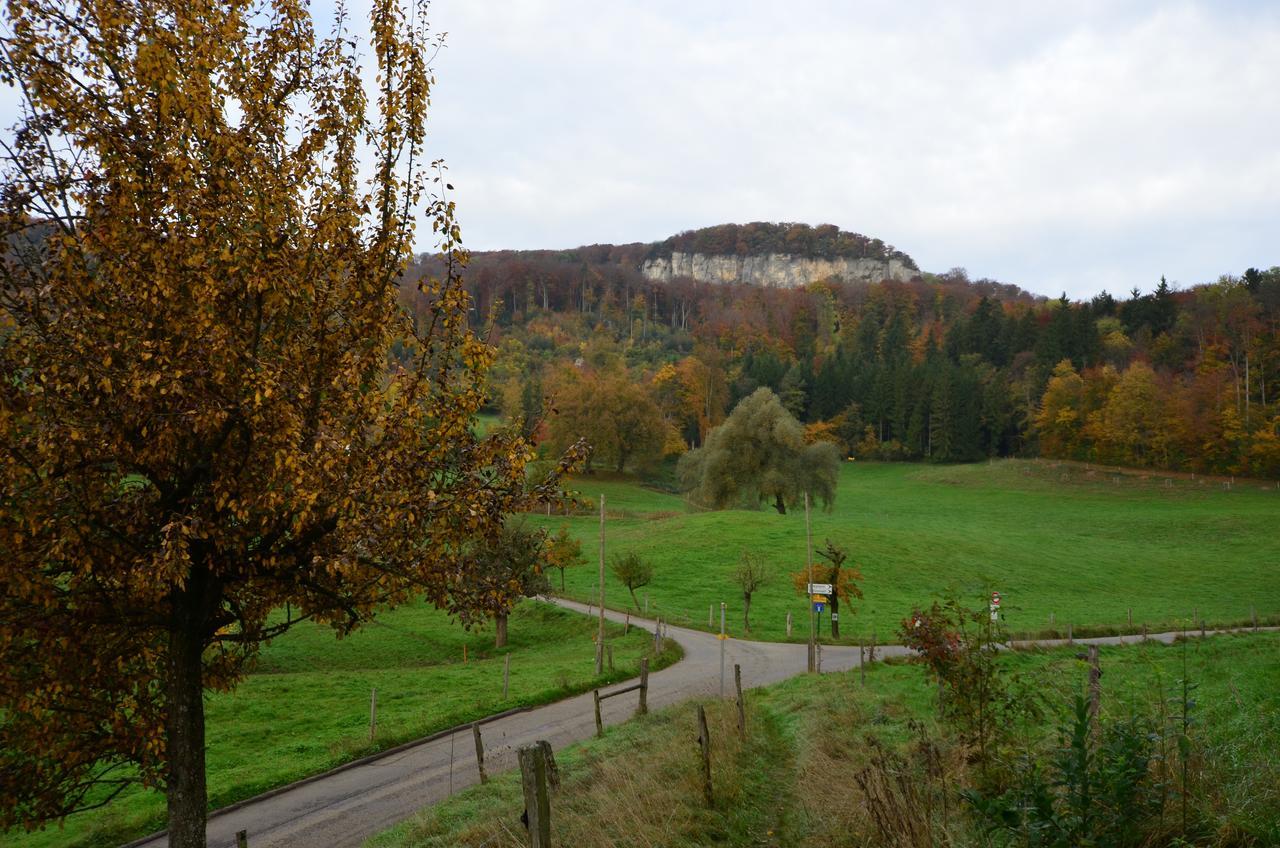 Bad Schauenburg Hotel Liestal Eksteriør billede